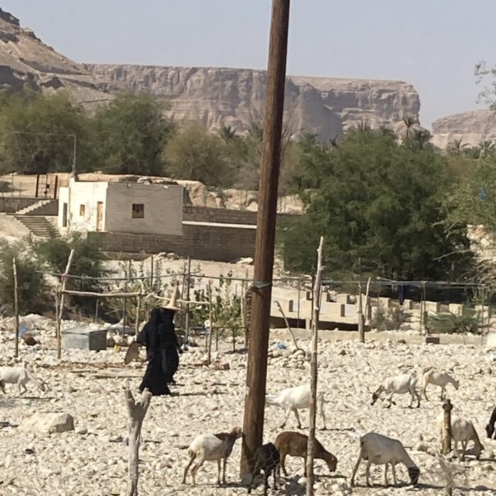 TravPholer Yemen Hadramaut