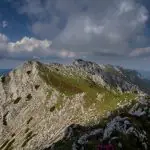 Ciocanu